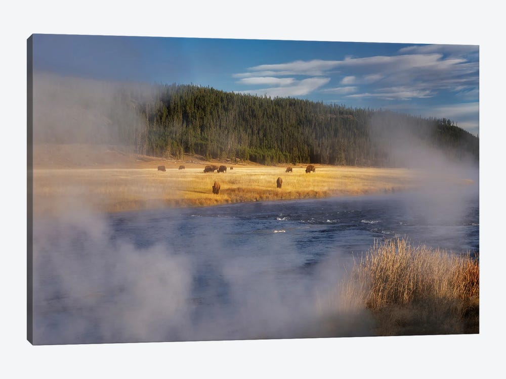 Geothermal Buffalo by Dennis Frates 1-piece Canvas Wall Art