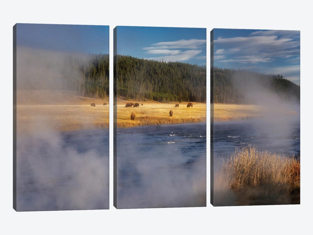 Geothermal Buffalo by Dennis Frates 3-piece Canvas Wall Art
