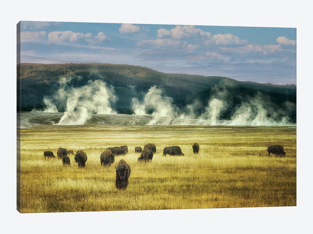 Thermal Buffalo Herd by Dennis Frates 1-piece Canvas Wall Art