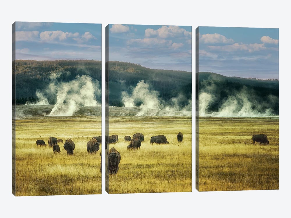 Thermal Buffalo Herd by Dennis Frates 3-piece Canvas Artwork