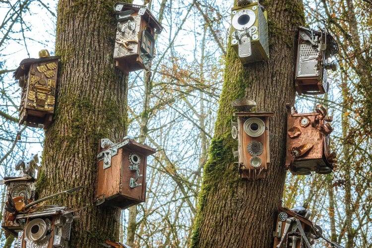 Bird Houses