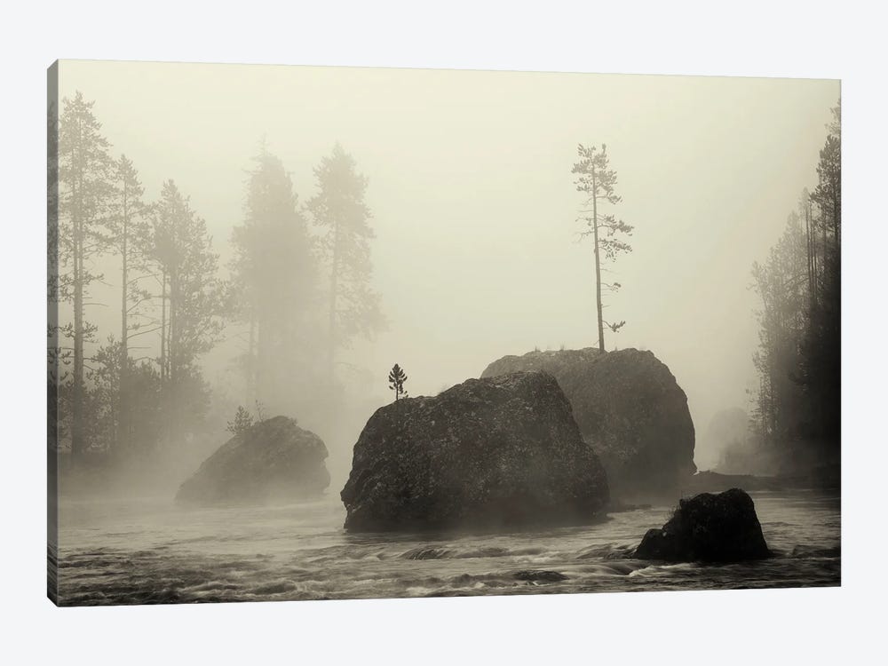 Lone Foggy Tree by Dennis Frates 1-piece Canvas Print
