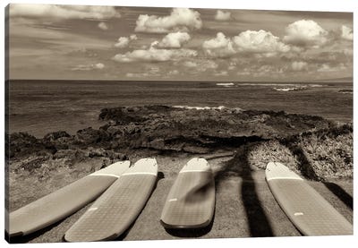 Surf Boards And Ocean Canvas Art Print - Dennis Frates