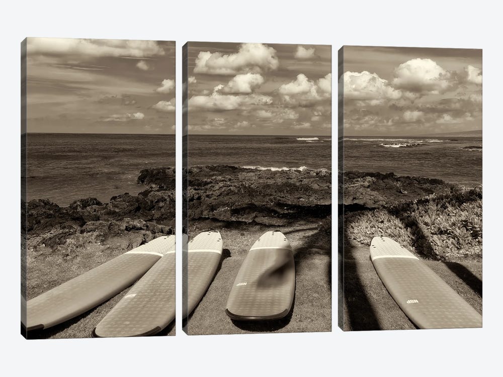 Surf Boards And Ocean by Dennis Frates 3-piece Art Print