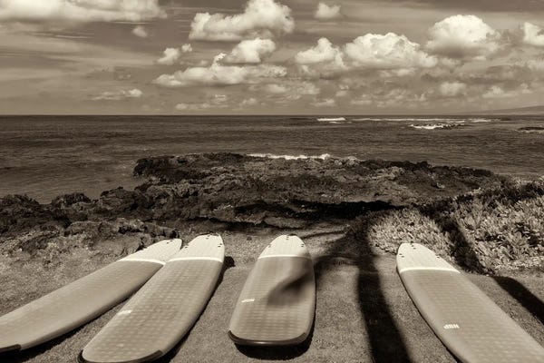 Rocky Beaches: Surf Boards And Ocean by Dennis Frates
