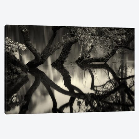Tree Reflection Canvas Print #DEN1796} by Dennis Frates Canvas Wall Art