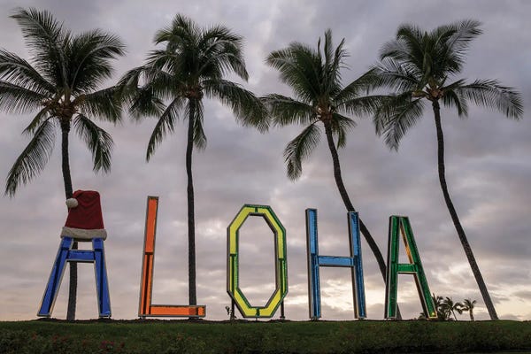 Coastal Christmas: Tropical Christmas Lights III by Dennis Frates