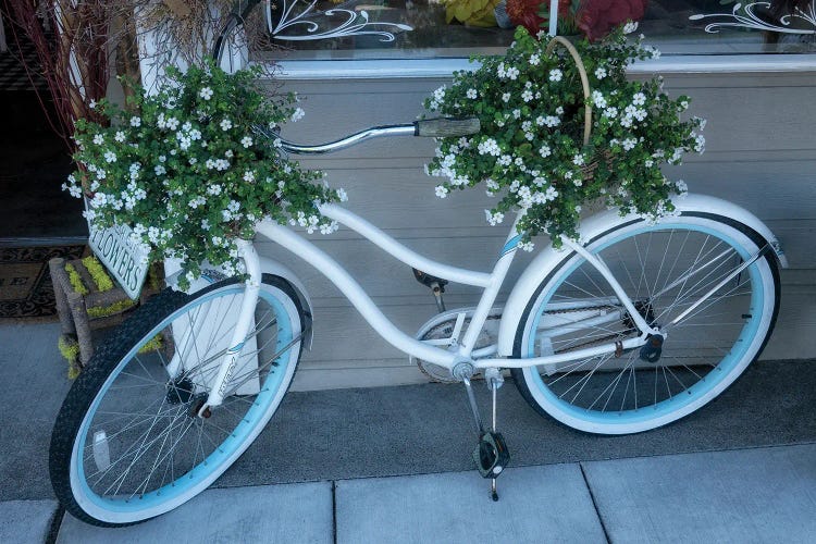 Antique Bike And Flowers