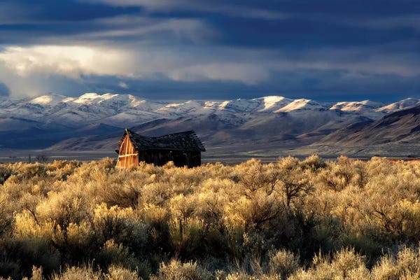 Cabins: Lone Cabin by Dennis Frates