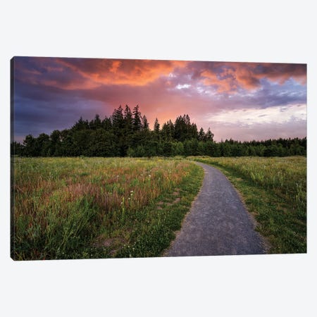 Spring Path And Sunset Canvas Print #DEN1814} by Dennis Frates Art Print