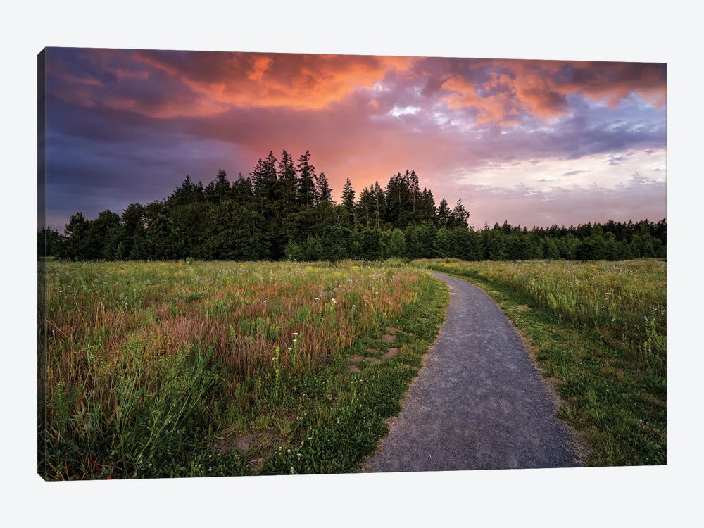 Spring Path And Sunset by Dennis Frates 1-piece Canvas Print
