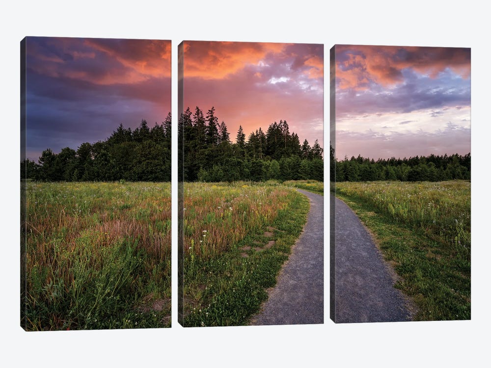 Spring Path And Sunset by Dennis Frates 3-piece Canvas Art Print