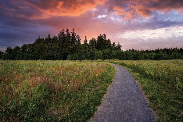 Spring Path And Sunset