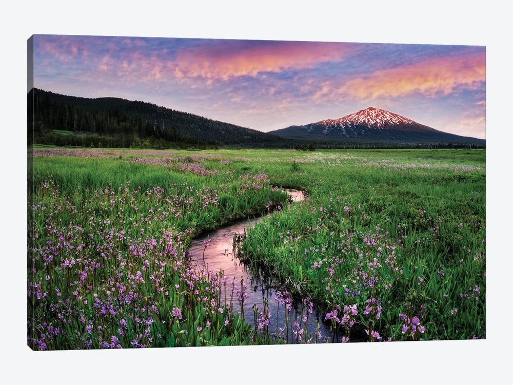 Wildflowers And Mountain II by Dennis Frates 1-piece Canvas Print