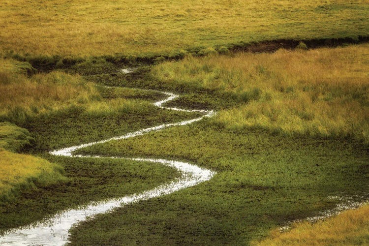 Yellowstone Creek