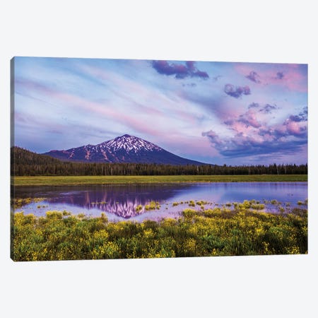 Wildflowers And Mt. Bachelor Canvas Print #DEN1820} by Dennis Frates Art Print
