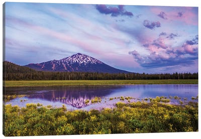 Wildflowers And Mt. Bachelor Canvas Art Print - Wildflowers