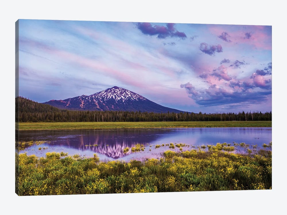 Wildflowers And Mt. Bachelor by Dennis Frates 1-piece Canvas Wall Art