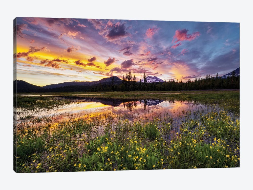 Wildflowers And Mt. Bachelor II by Dennis Frates 1-piece Canvas Print