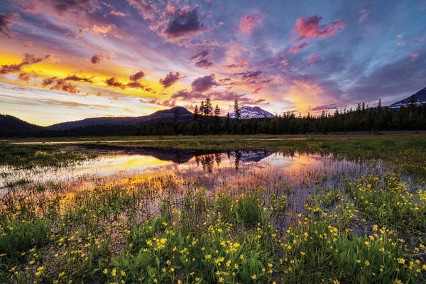 Mountain Sunrises & Sunsets: Wildflowers And Mt. Bachelor II by Dennis Frates