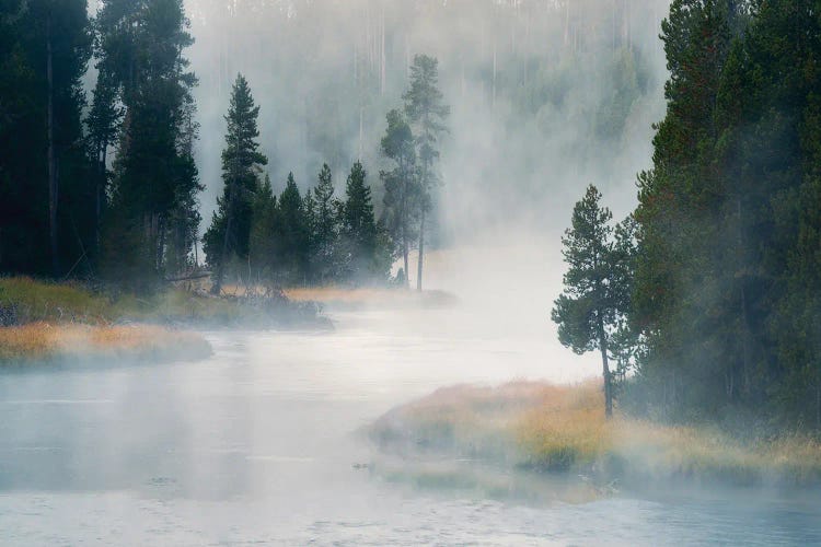 Foggy Madison River