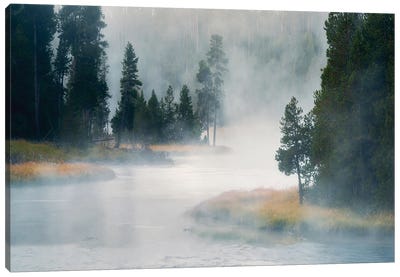 Foggy Madison River Canvas Art Print - Dennis Frates