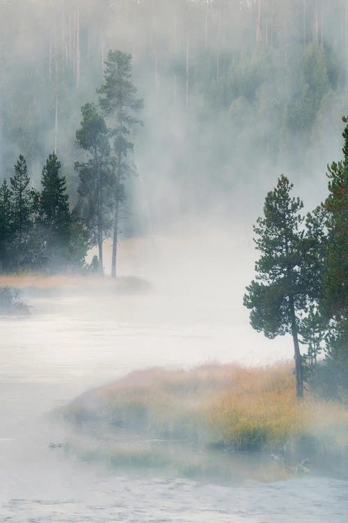 Foggy Madison River II