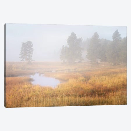 Fall Meadow In Yellowstone Canvas Print #DEN1824} by Dennis Frates Canvas Art
