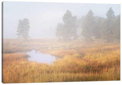 Fall Meadow In Yellowstone Canvas Art Print - Dennis Frates
