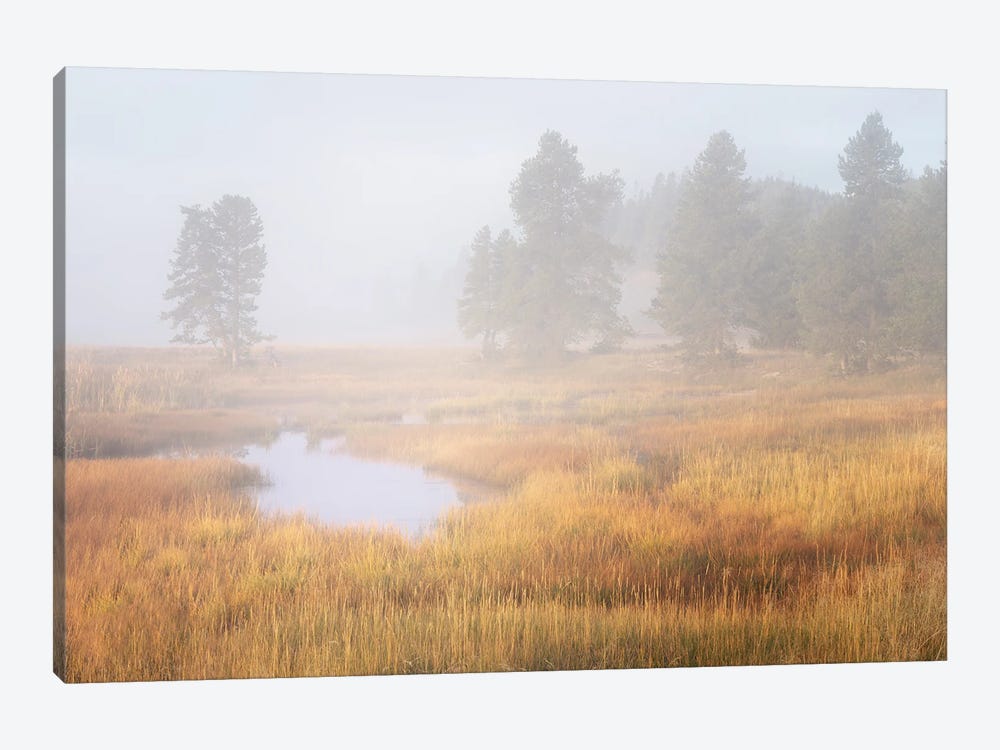 Fall Meadow In Yellowstone by Dennis Frates 1-piece Canvas Art