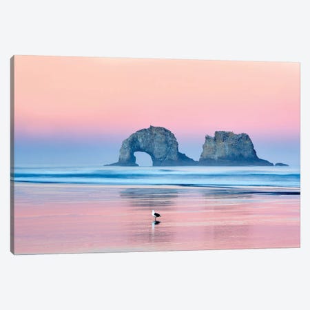 Lone Seagull Canvas Print #DEN182} by Dennis Frates Canvas Print