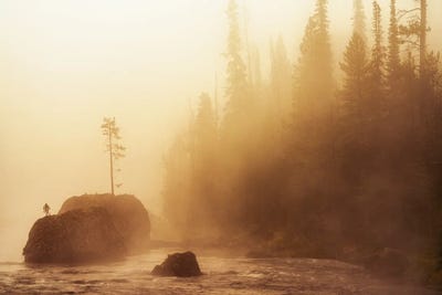 Rock Tee And Fog by Dennis Frates art print