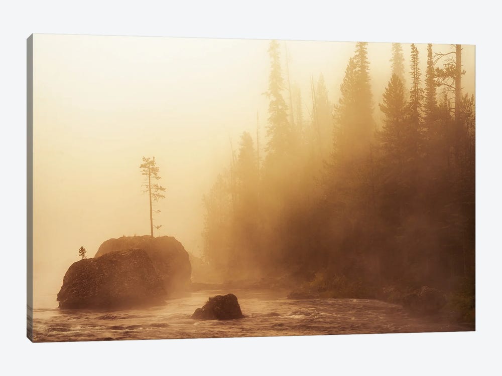 Rock Tee And Fog by Dennis Frates 1-piece Canvas Artwork