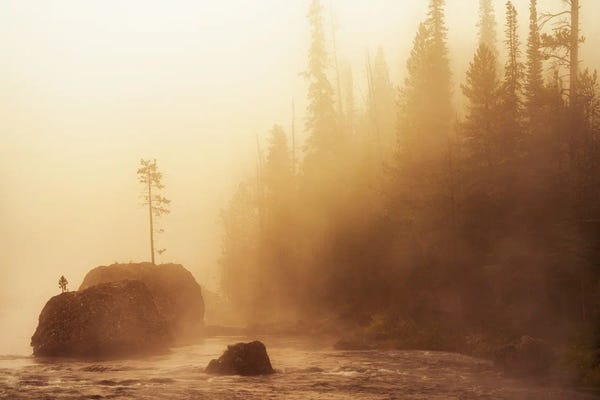 Rock Tee And Fog