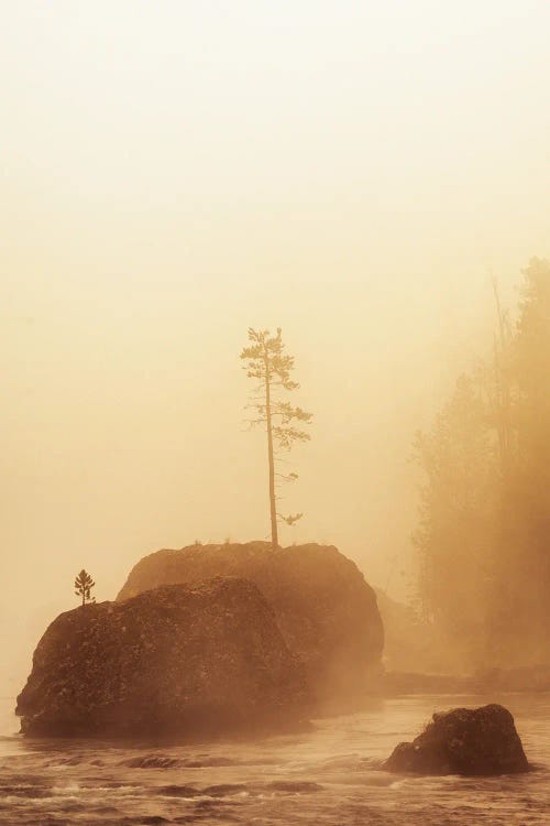 Rock Tee And Fog II