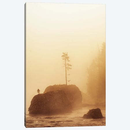 Rock Tee And Fog II Canvas Print #DEN1840} by Dennis Frates Canvas Print