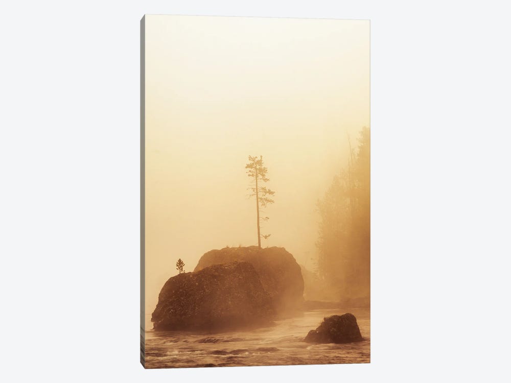 Rock Tee And Fog II by Dennis Frates 1-piece Canvas Wall Art