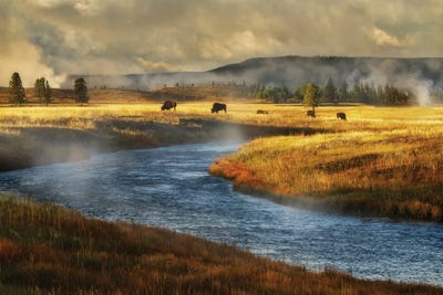 Stream And Buffalo by Dennis Frates canvas print