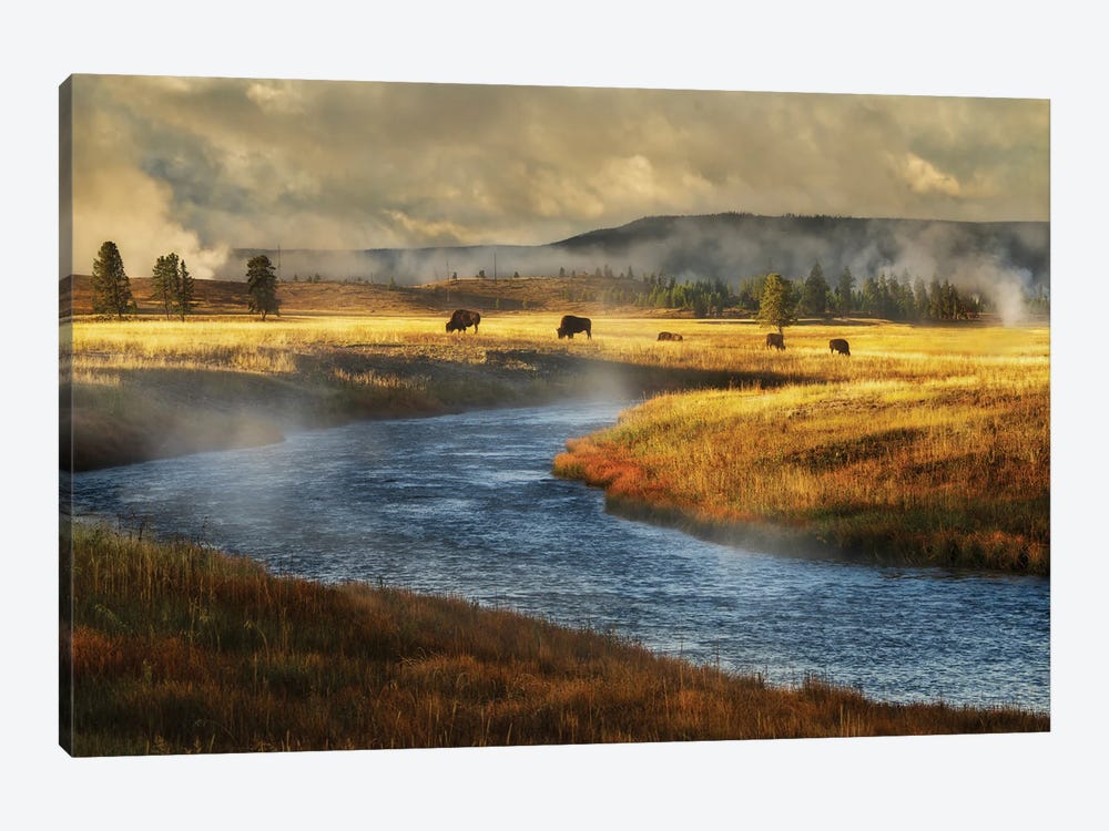 Stream And Buffalo by Dennis Frates 1-piece Canvas Art Print