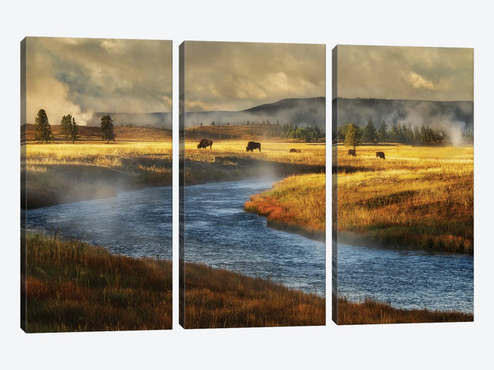 Stream And Buffalo by Dennis Frates 3-piece Canvas Art Print