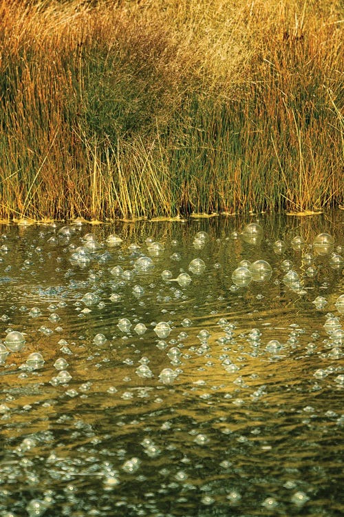 Thermal Pool Bubbles II