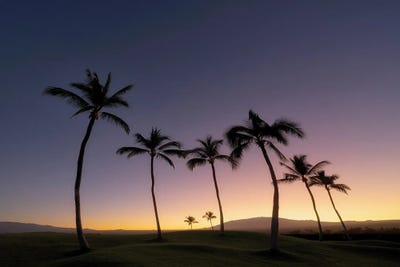 Tropical Silhouette II by Dennis Frates multi panel art