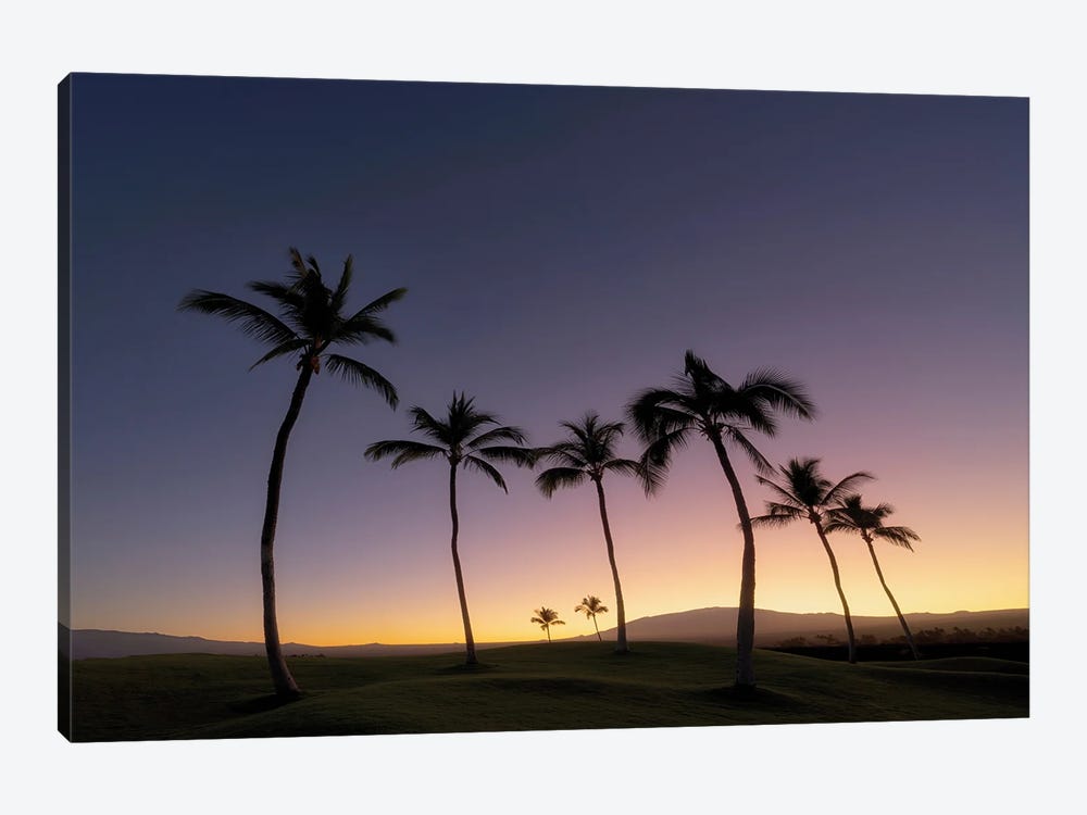 Tropical Silhouette II by Dennis Frates 1-piece Canvas Wall Art