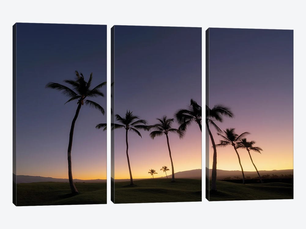 Tropical Silhouette II by Dennis Frates 3-piece Canvas Art