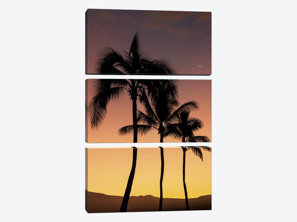 Tropical Silhouette III by Dennis Frates 3-piece Canvas Print