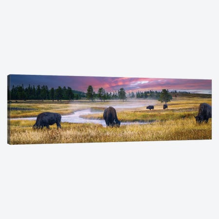 Buffalo Sunrise Canvas Print #DEN1877} by Dennis Frates Canvas Art Print