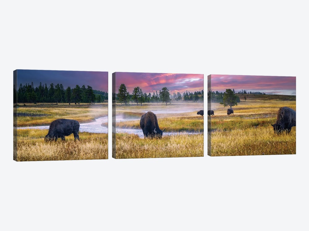 Buffalo Sunrise by Dennis Frates 3-piece Canvas Wall Art