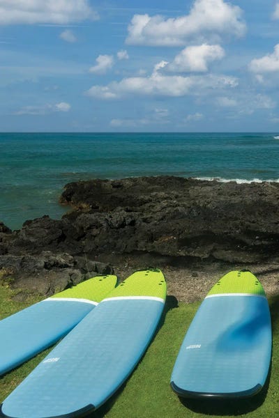 Surfboards And Ocean II by Dennis Frates multi panel art