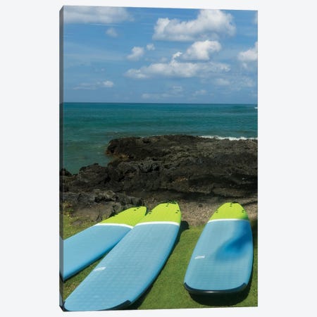 Surfboards And Ocean II Canvas Print #DEN1888} by Dennis Frates Art Print