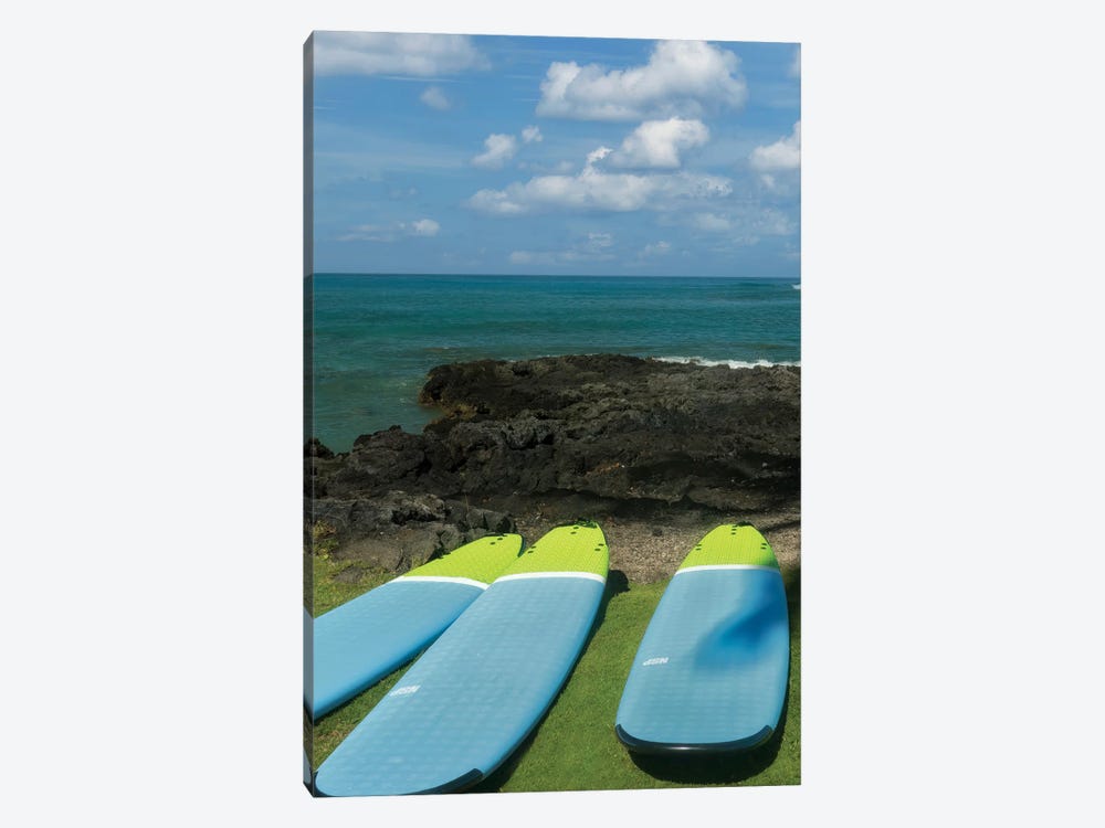 Surfboards And Ocean II by Dennis Frates 1-piece Canvas Artwork